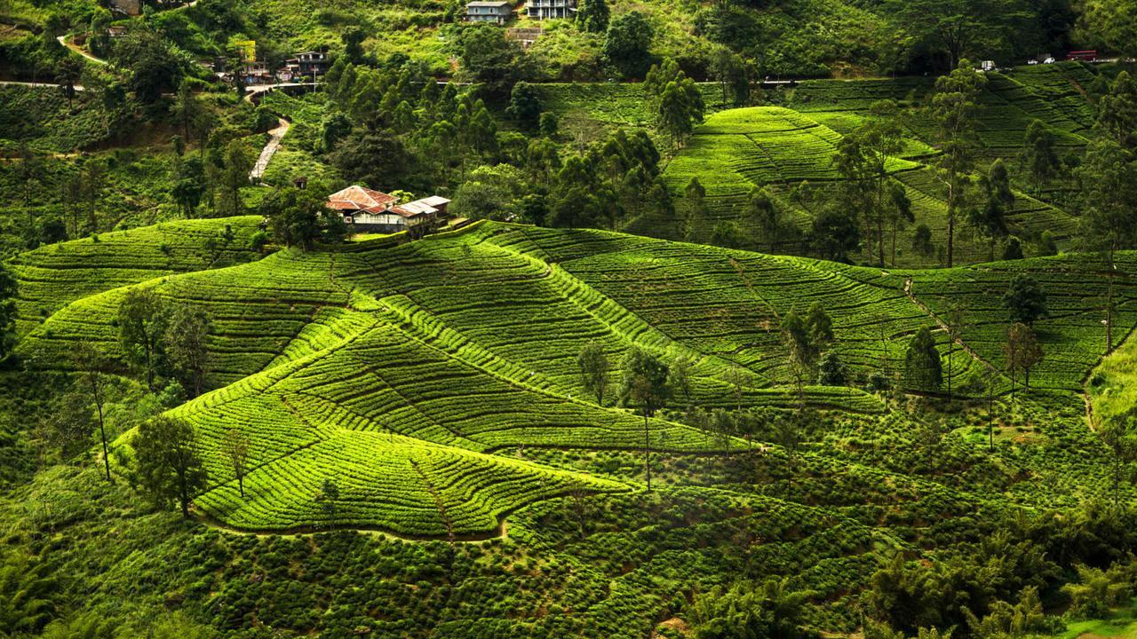 Kirula Green Hotel Nuwara Eliya Exterior foto