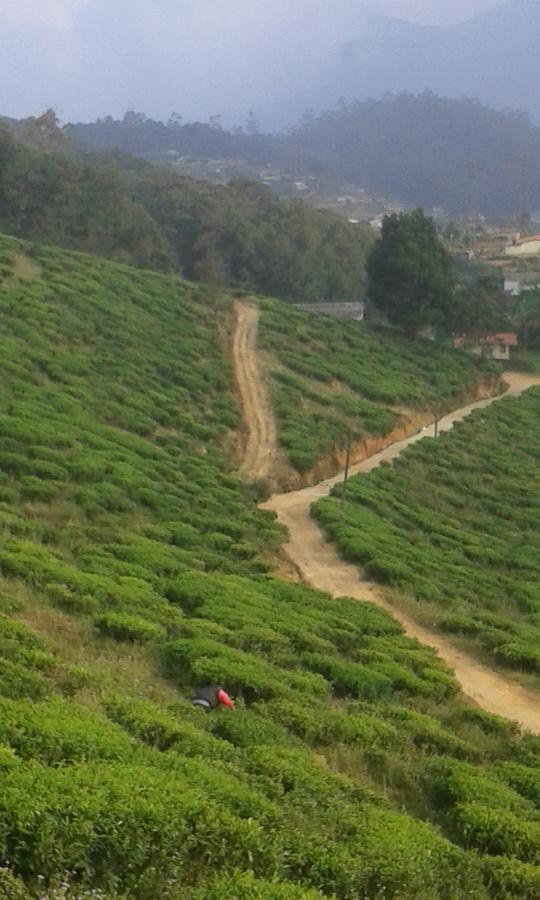 Kirula Green Hotel Nuwara Eliya Exterior foto